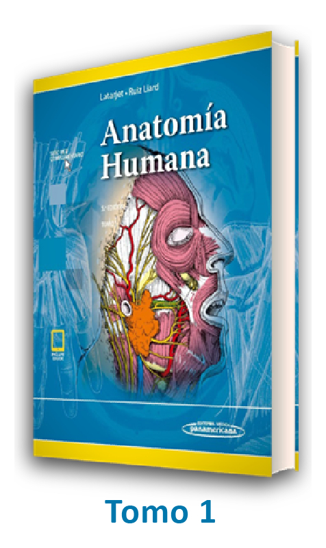 Anatom A Humana Edici N Tomo Latarjet Y Ruiz Liard Editorial