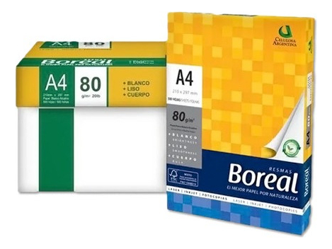 Kit 10 Resmas A4 Boreal 80 Gramos Papel Blanco Caja X10 U En Precialo