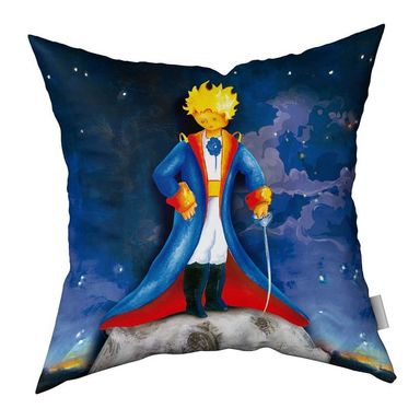 Almohadon 40x40 cm El Principito