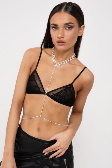 Arnes Payne Plateado