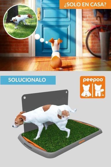 BANDEJA SANITARIA PARA PERROS / PEEPOO PREMIUM MACHO Negro