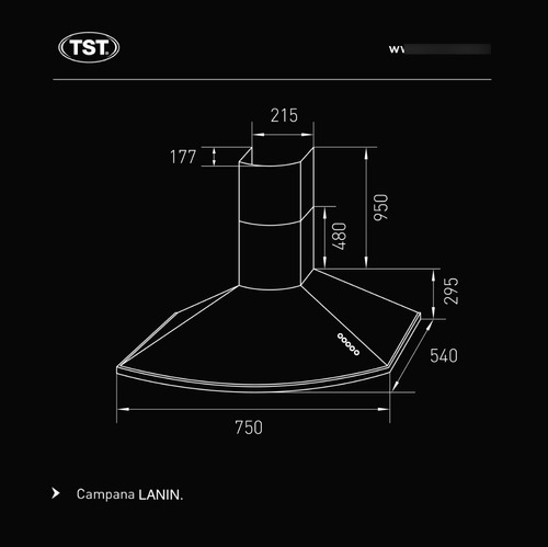 Campana Extractor Cocina Tst Lanin 75 Cm Acero Inox Rex Color Plateado