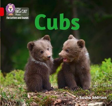 CUBS - Big Cat Phonics for Letters and Sounds