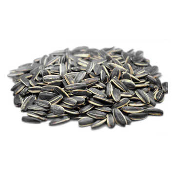 Girasol confitero x 10 Kg