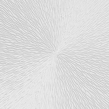 Placa Antihumedad 30x60 Cm Maxhaus