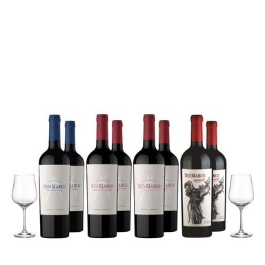 SmartBox BenMarco Seleccion x 8 y 2 Copas