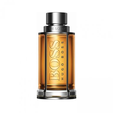 THE SCENT EDT 100ml